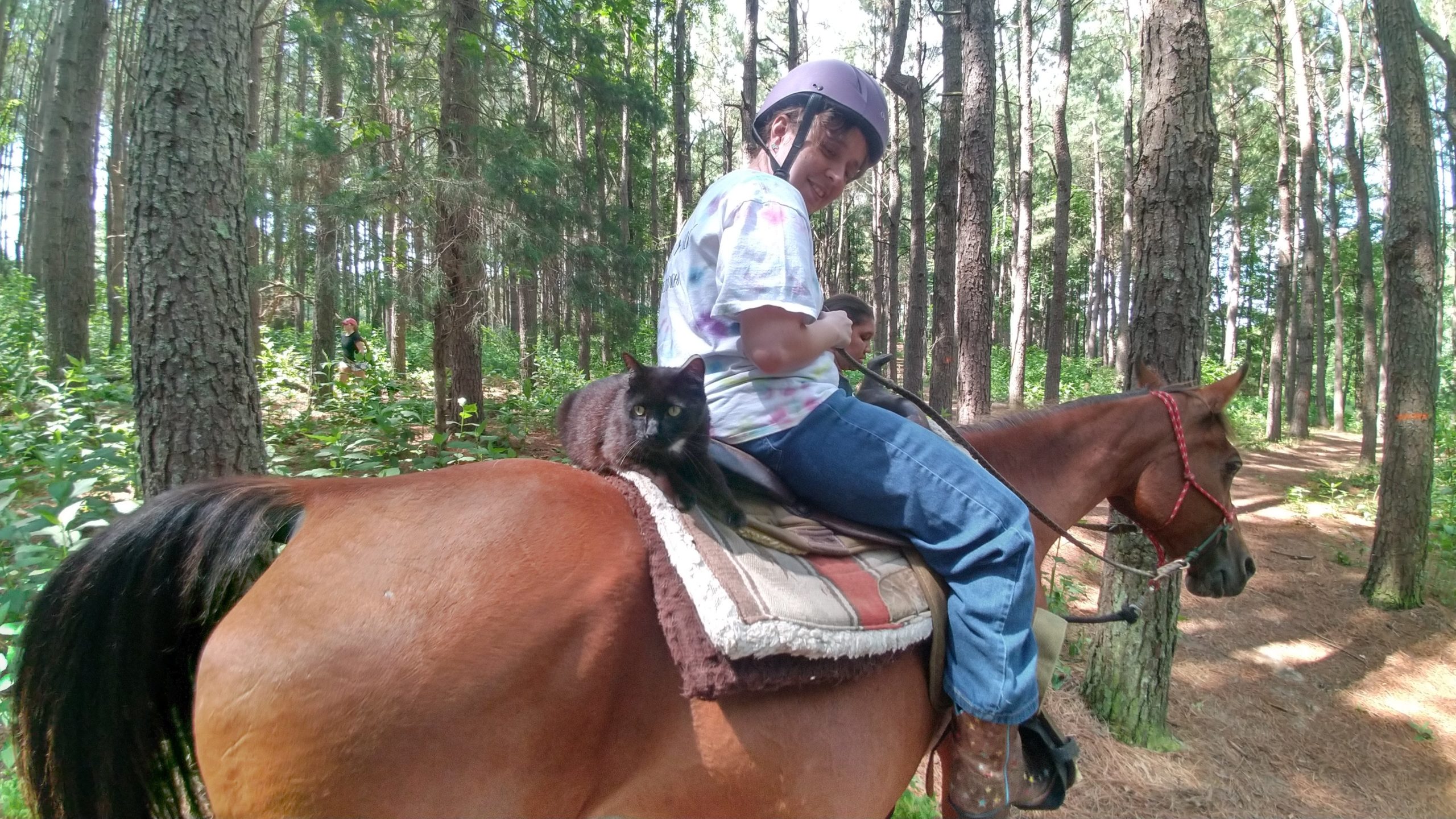 child riding horse with cat sitting on saddle