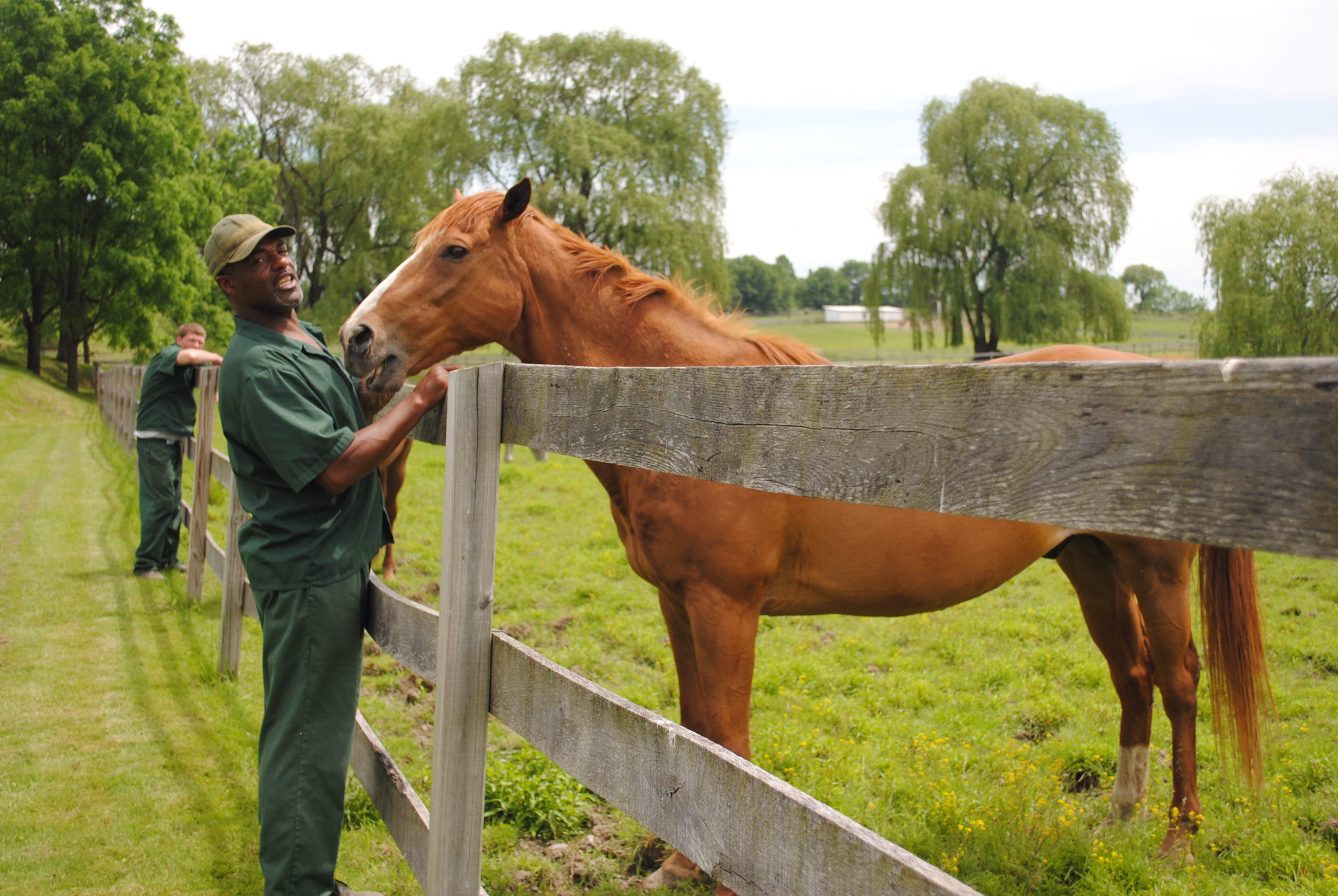 inmate caring for horse