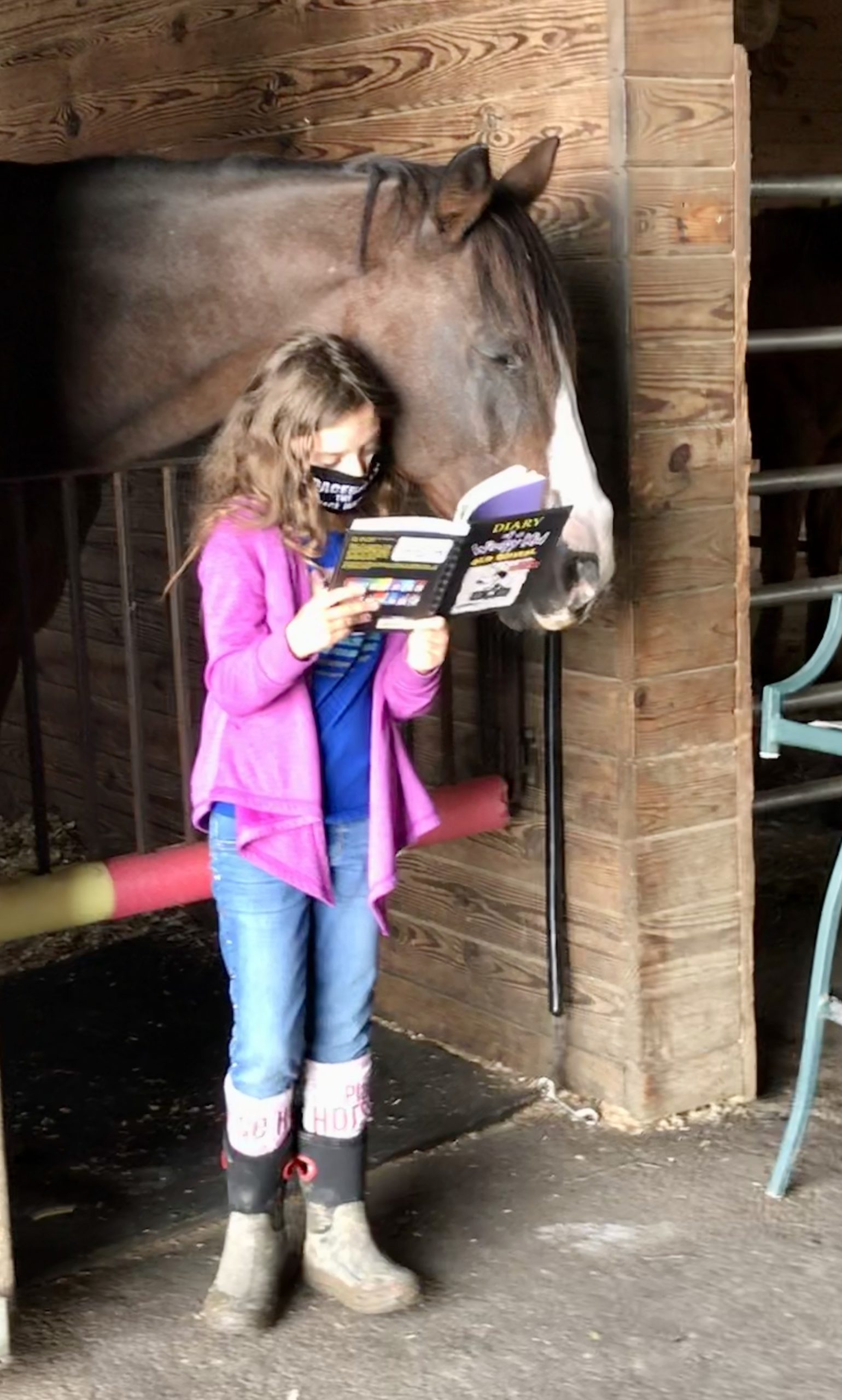Girl reading to horse